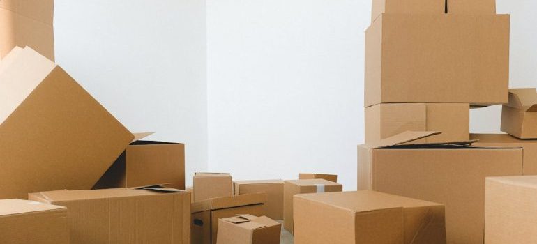 cardboard boxes